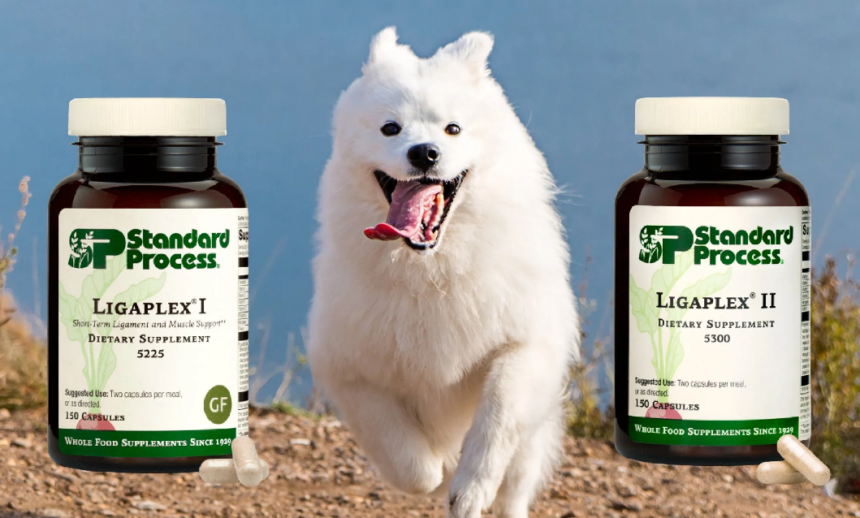 LigaPlex 2 for Dogs