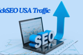 ClickSeo USA Traffic