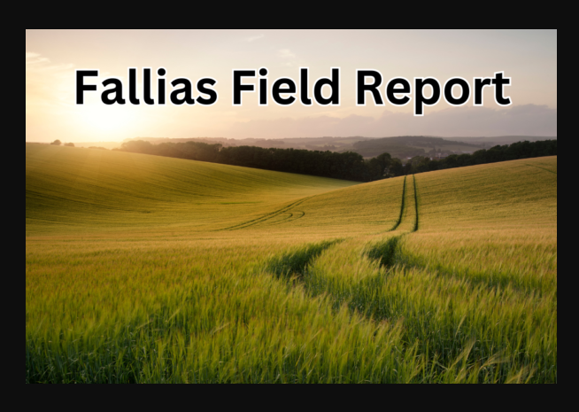 Fallias Field Report